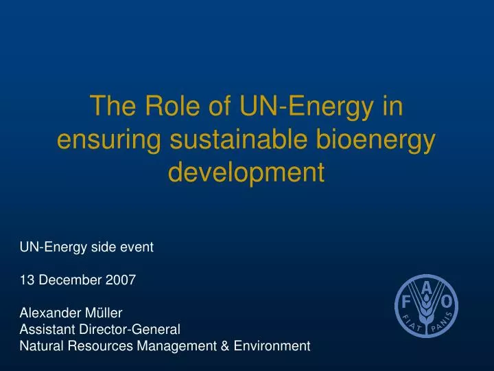 the role of un energy in ensuring sustainable bioenergy development