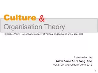 Culture Organisation Theory