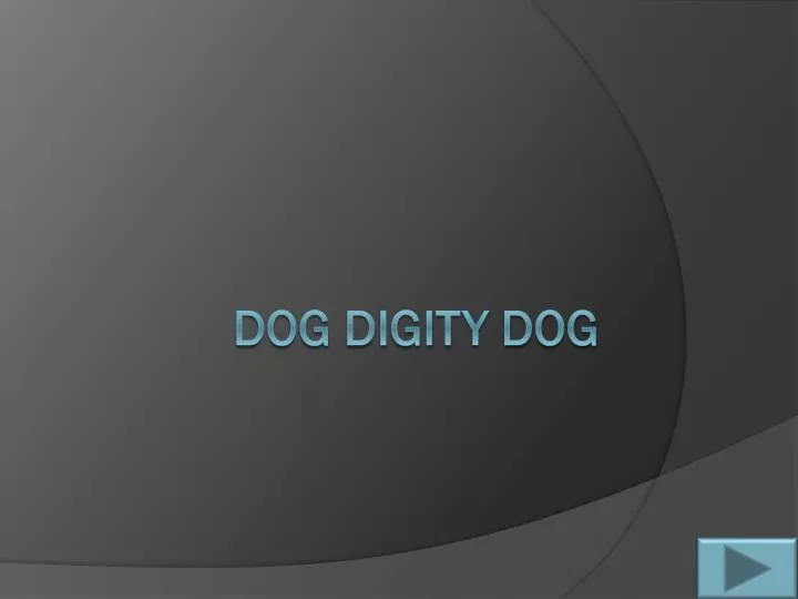 dog digity dog