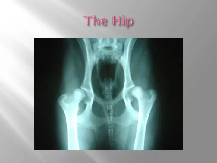 the hip