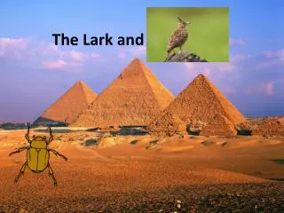 The Lark and the Beetle