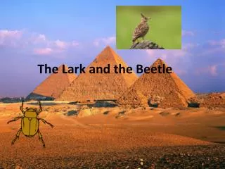 The Lark and the Beetle