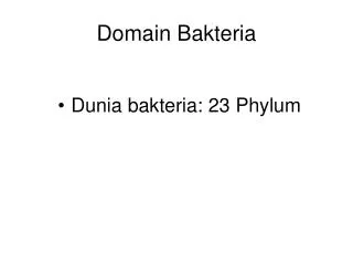 domain bakteria