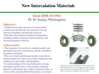 New Intercalation Materials