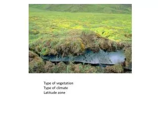 Type of vegetation Type of climate Latitude zone