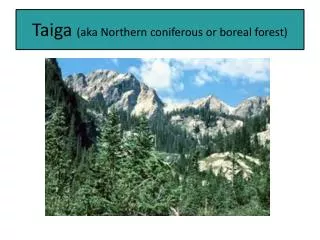 Taiga (aka Northern coniferous or boreal forest)