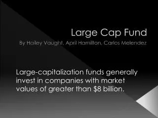Large Cap Fund