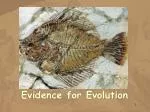 Evidence for Evolution - slide 1
