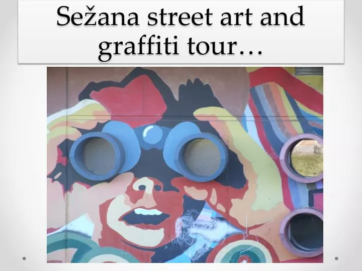se ana s treet a rt and graffiti tour