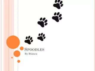 spoodles
