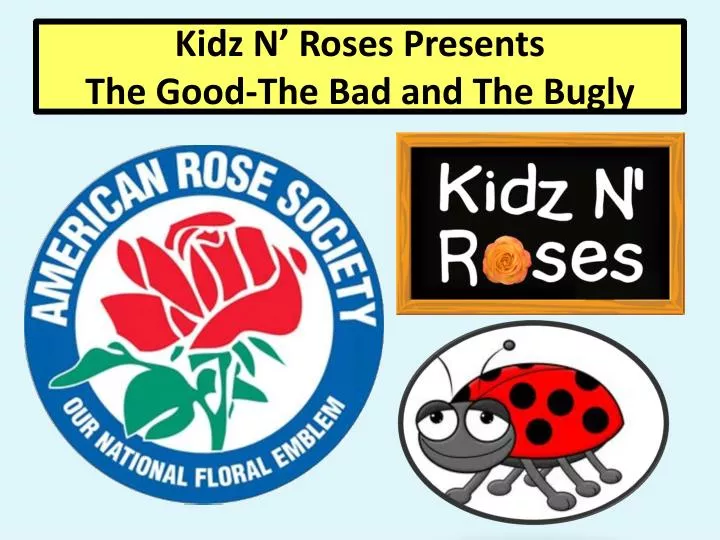 kidz n roses presents the good the bad and the bugly