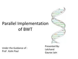 Parallel Implementation of BWT