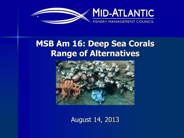 msb am 16 deep sea corals range of alternatives