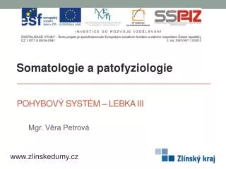 pohybov syst m lebka iii