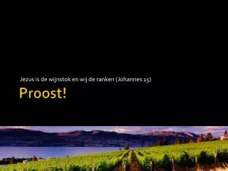 jezus is de wijnstok en wij de ranken johannes 15