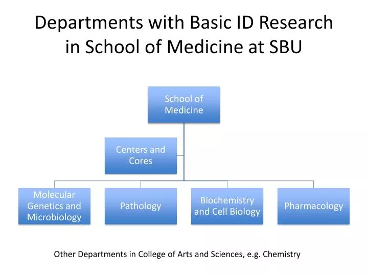 departments with basic id research in school of medicine at sbu