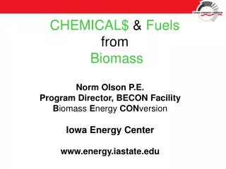 CHEMICAL$ &amp; Fuels from Biomass