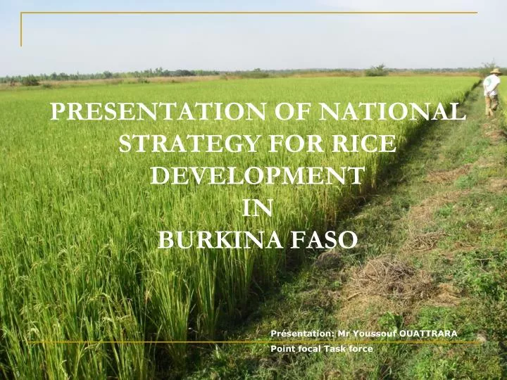 presentation of national strategy for rice development in burkina faso