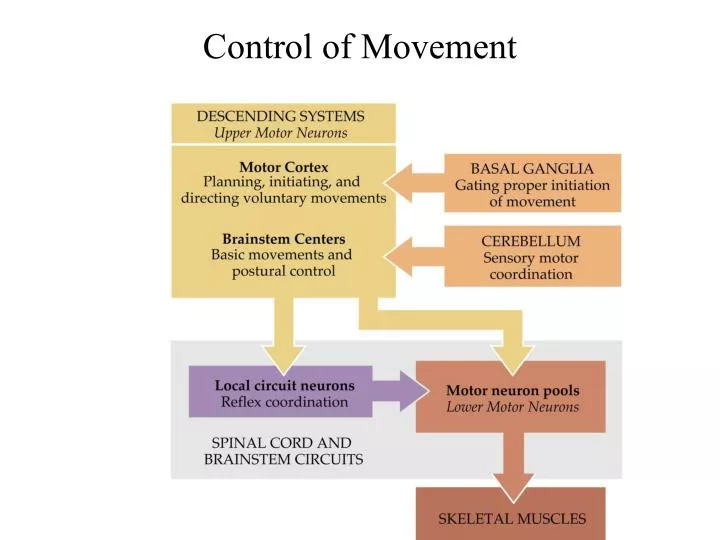 control of movement