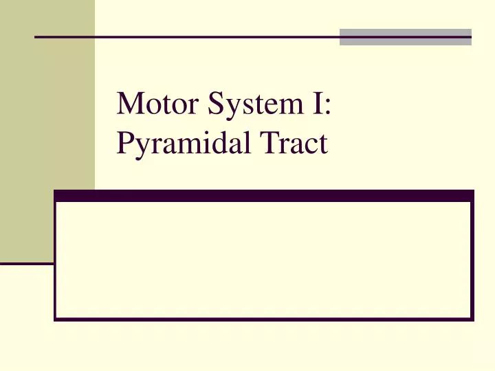 motor system i pyramidal tract