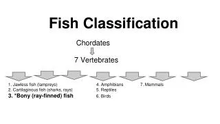 fish classification