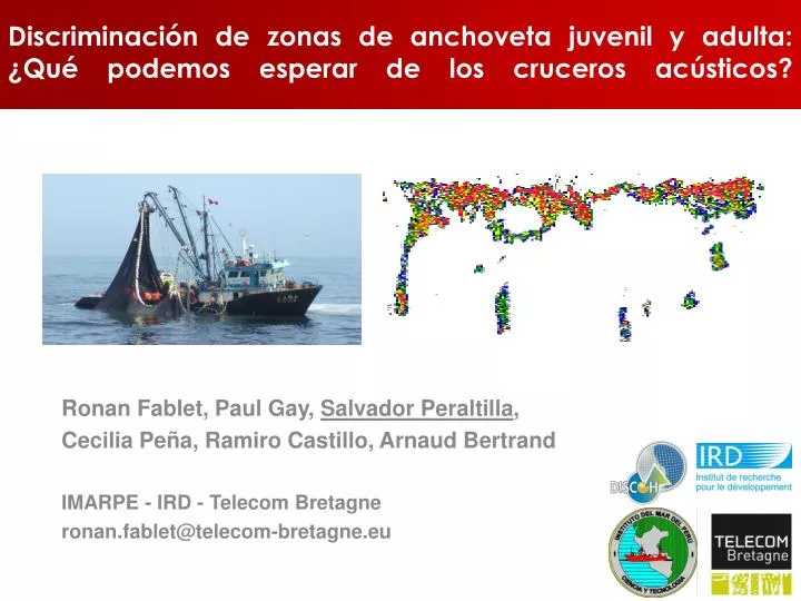 discriminaci n de zonas de anchoveta juvenil y adulta qu podemos esperar de los cruceros ac sticos