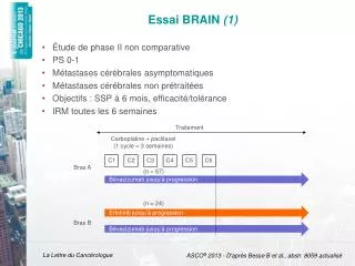 essai brain 1