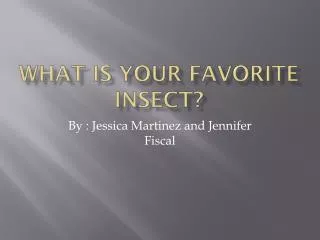 What is your favorite insect?