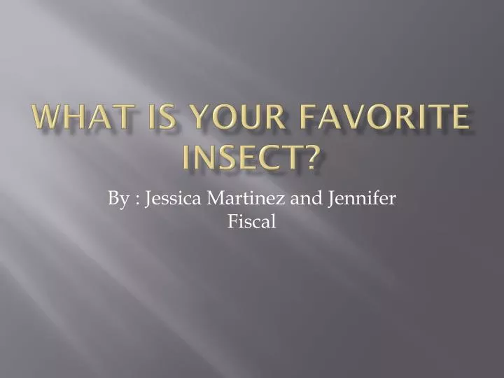 what is your favorite insect