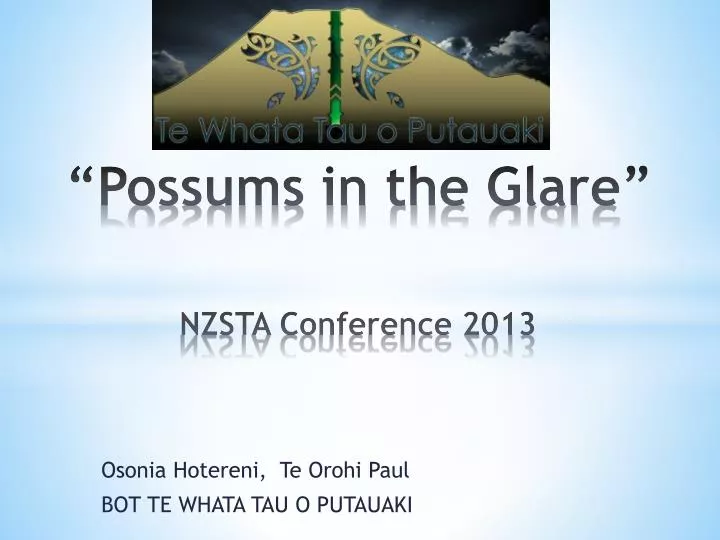 possums in the glare nzsta conference 2013