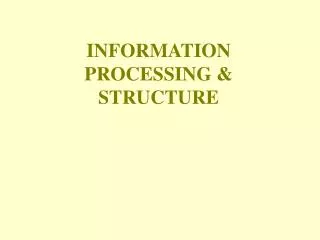 information processing structure