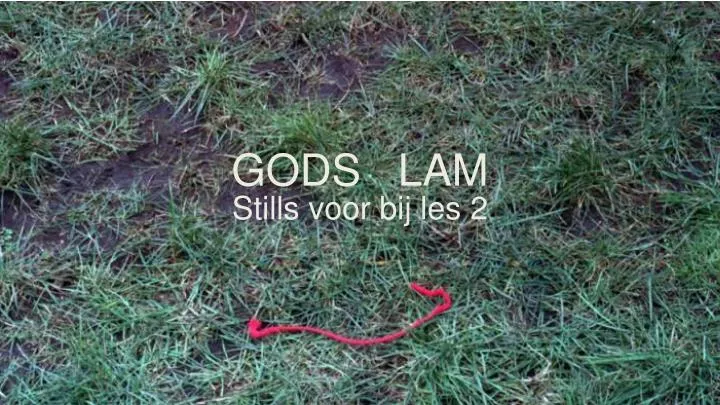 gods lam