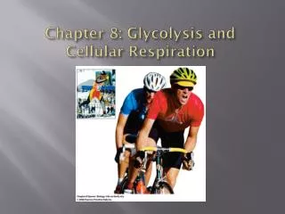 Chapter 8: Glycolysis and Cellular Respiration