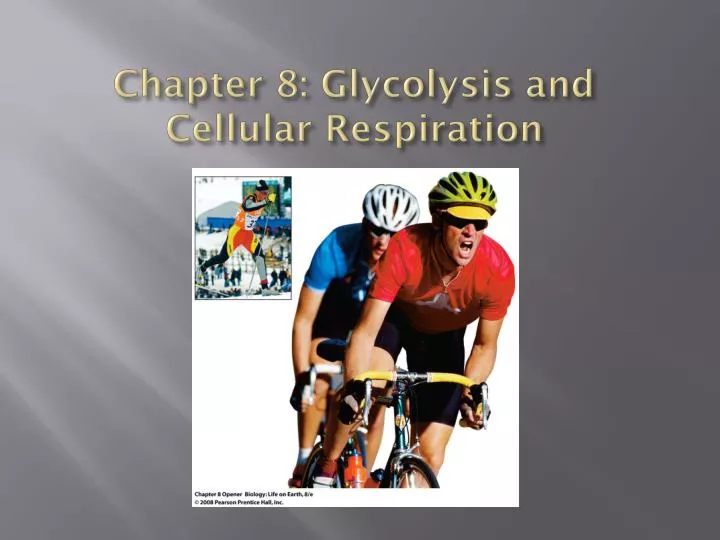 chapter 8 glycolysis and cellular respiration