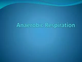 Anaerobic Respiration