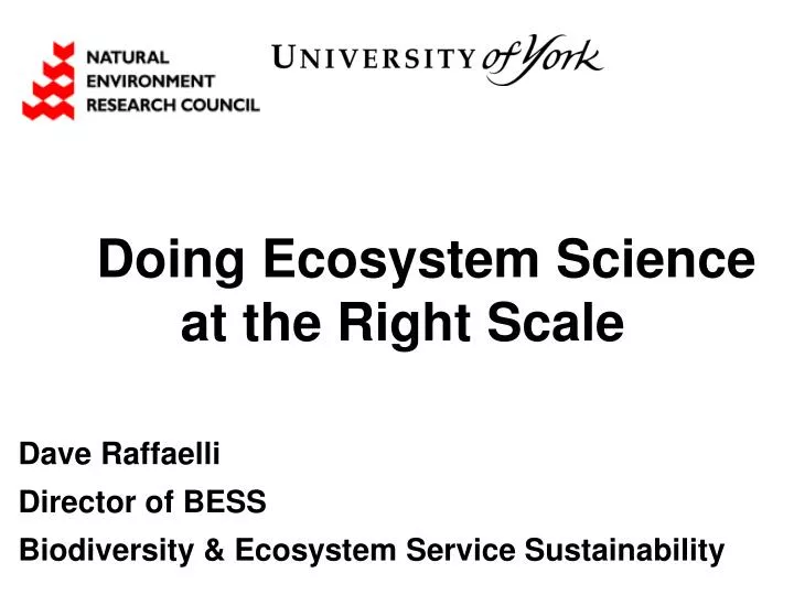 doing ecosystem science at the right scale