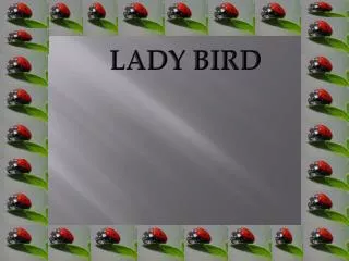 LADY BIRD