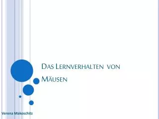 das lernverhalten von m usen