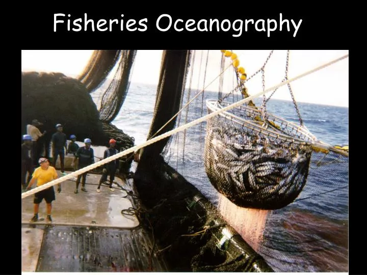 fisheries oceanography