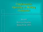 Conglomerates Operating vs. Holding Companies - slide 1