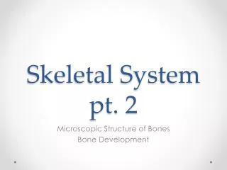 Skeletal System pt. 2