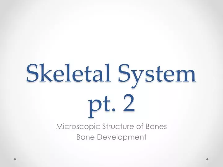 skeletal system pt 2