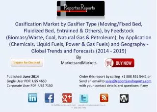 Gasification Industry - Global Trend & Forecast to 2019