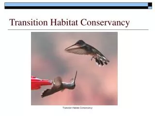 Transition Habitat Conservancy