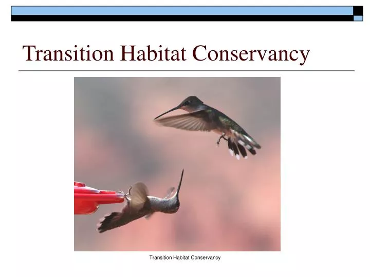 transition habitat conservancy
