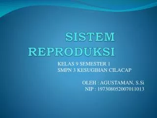 sistem reproduksi