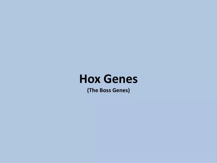 hox genes the boss genes