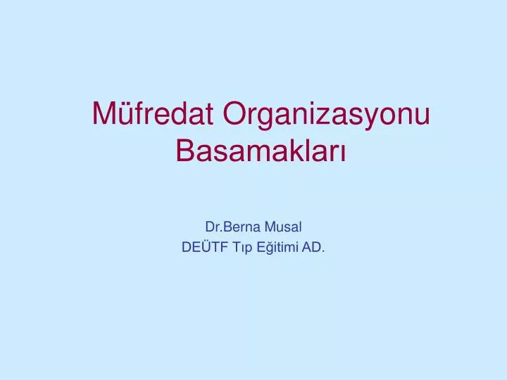 m fredat organizasyonu basamaklar