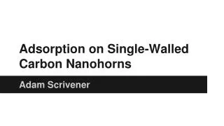 Adsorption on Single-Walled Carbon Nanohorns