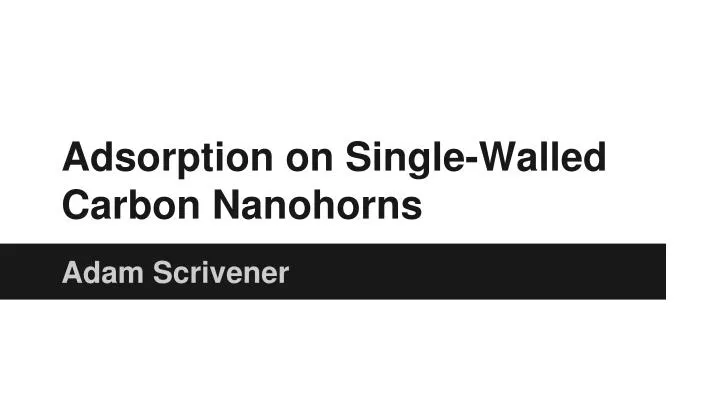 adsorption on single walled carbon nanohorns